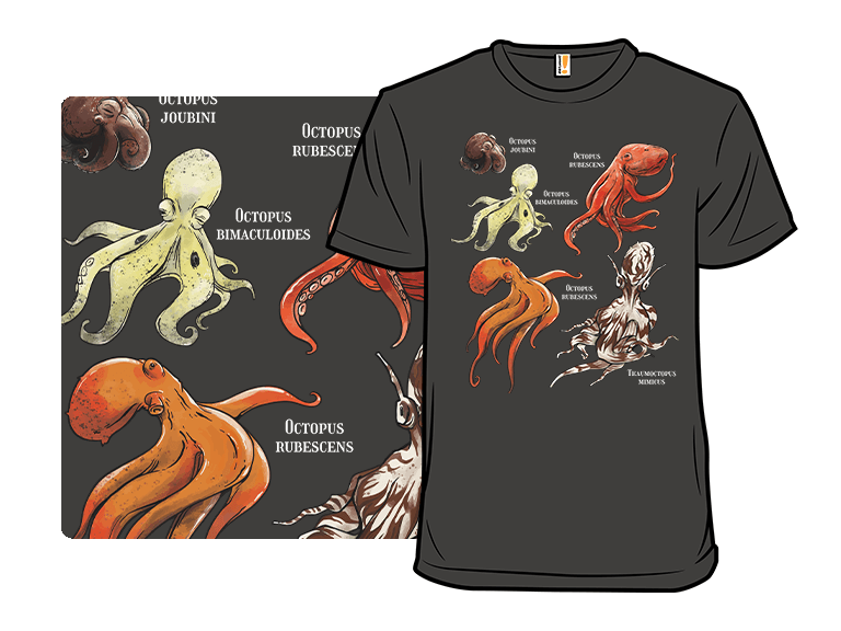 Octopus Atlas - Image 1