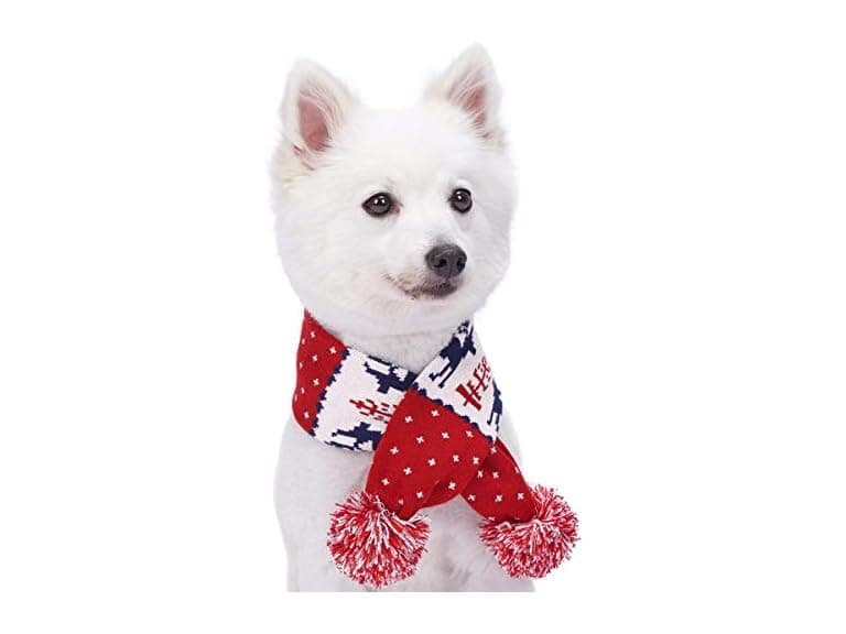 Blueberry Pet Blueberry Pet Vintage Ugly Christmas - Image 1