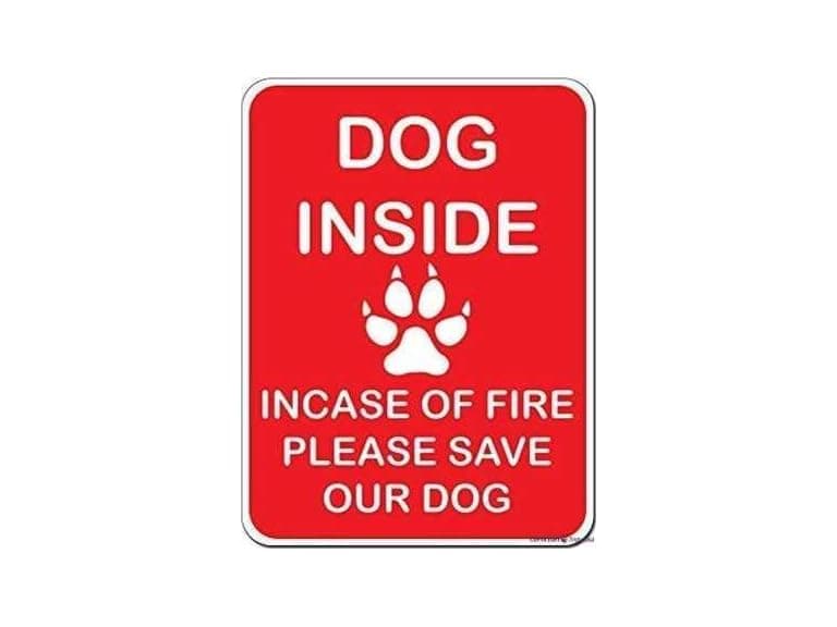 Indication Warning Sign Dog Inside Incase of - Image 1