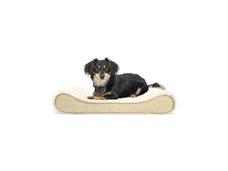 Furhaven Orthopedic Dog Bed for Medium Small Dogs - Image 1
