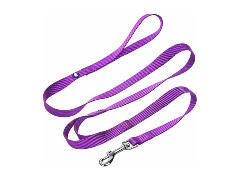 Blueberry Pet Essentials Double Handle Dog Leash - Image 1