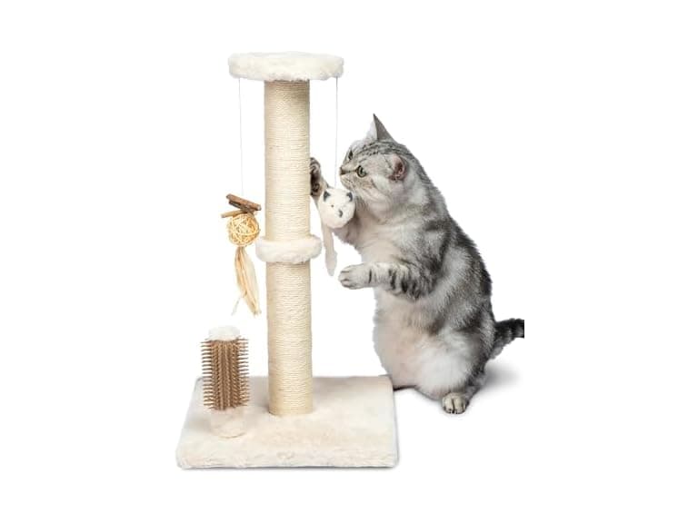Best Pet Supplies Catify Cat Scratcher - Image 1
