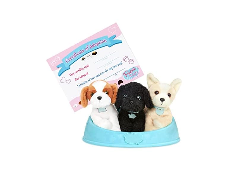 Adopt-a-Pup – Shih Tzu, Chihuahua, Poodle - Image 1
