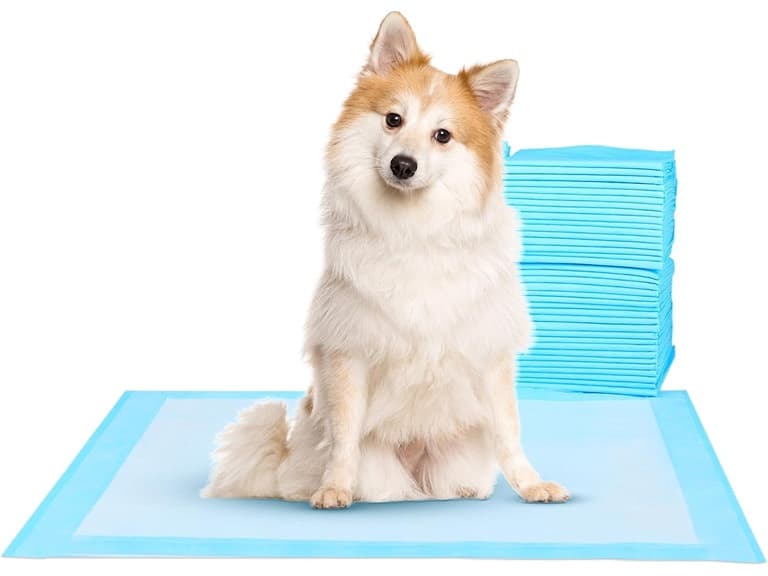 FluffyDream Absorbent Training Pad Blue (23"x35"(60PCS)) - Image 1