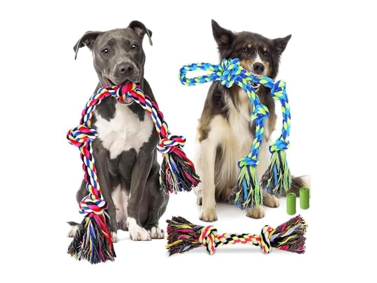 BASTIPETA Tough & Strong Dog Toy - Image 1
