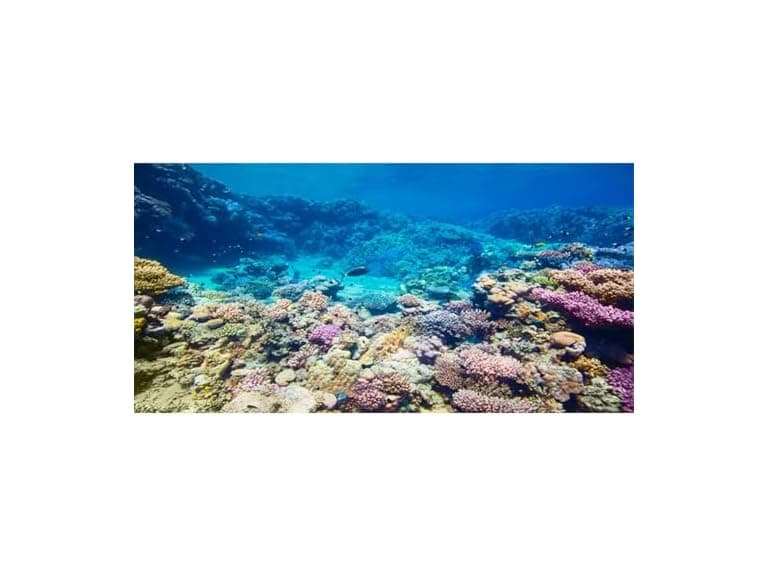 AWERT Aquarium Background Coral Ree - Image 1