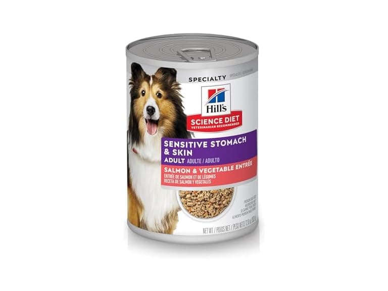 Hill's Science Diet Adult Sensitive Stomach & Skin Dog Food - Image 1