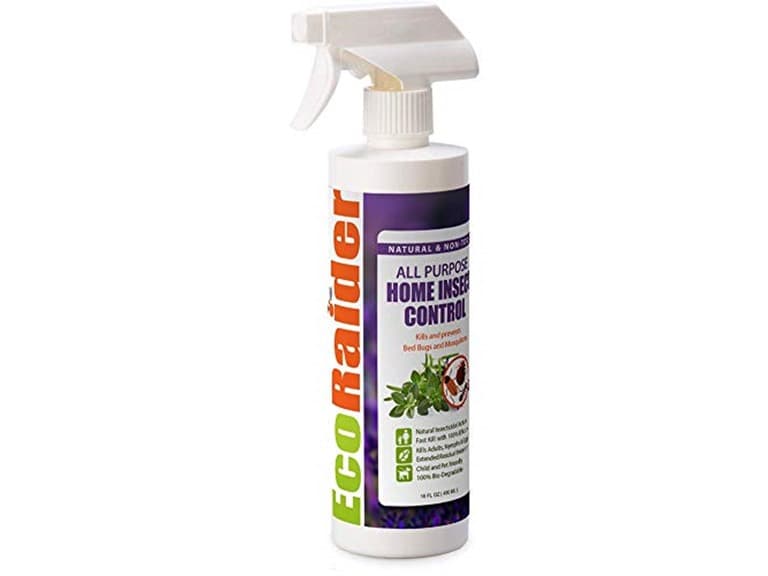 EcoRaider All Purpose Insect Control - Image 1