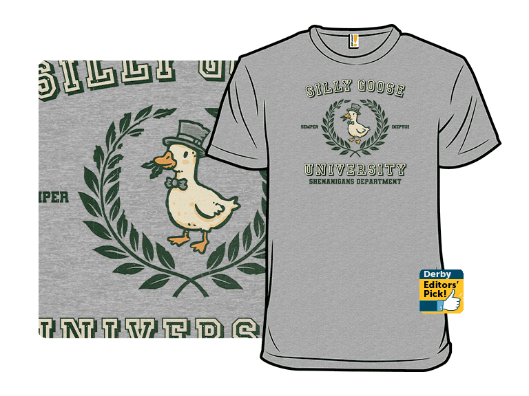 Silly Goose University - Image 1