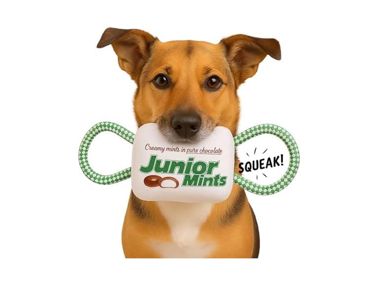Tootsie Roll Junior Mints Plush Candy w Rope - Image 1