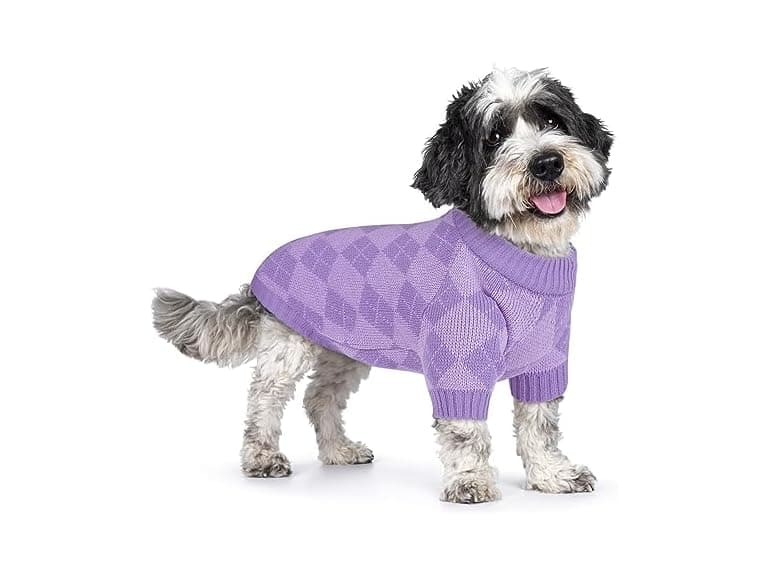 Queenmore Puppy Sweater - Warm Dog Turtleneck - Image 1