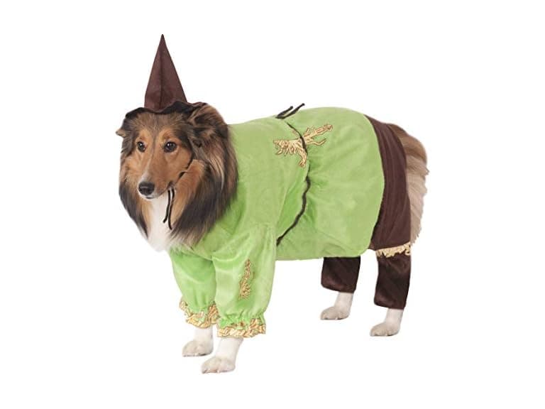 The Wizard of Oz: Scarecrow Pet Costume Small - Image 1