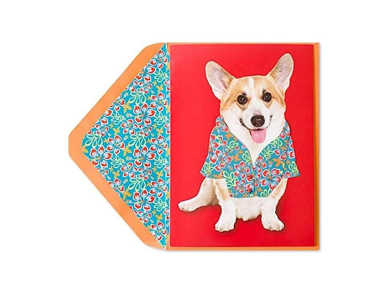 Papyrus Welsh Corgi in Hawaiian Shirt Father's - Image 1