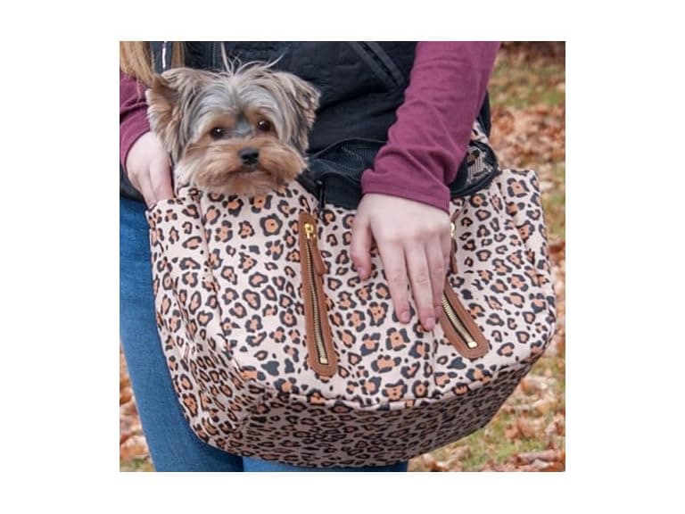 Pet Gear Carrier and Car Seat, Animal Print Sling - Image 1