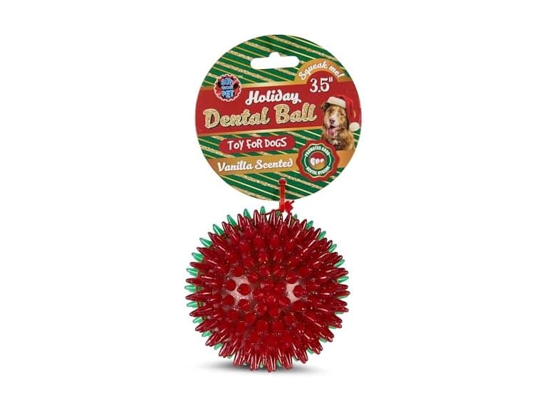 Bow Wow Pet Vanilla Scented Dental Ball Dog Chew Toy - Image 1