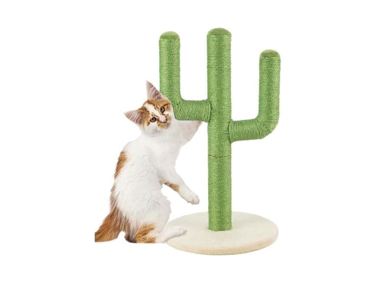 24” Tall Cat Scratching Post - Vertical Cactus - Image 1
