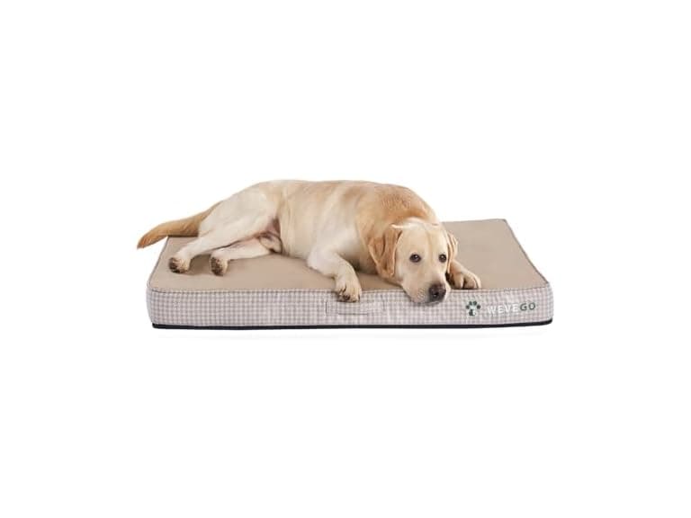 WEVEGO Medium Dog Bed, Orthopedic Dog Bed - Image 1