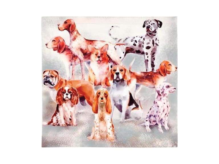 47th & Main Cloth Napkins Set of 4 - Image 1
