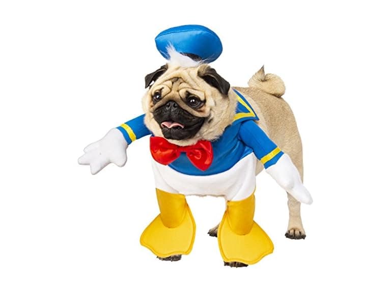 Disney: Donald Duck Pet Costume for Dogs - Image 1