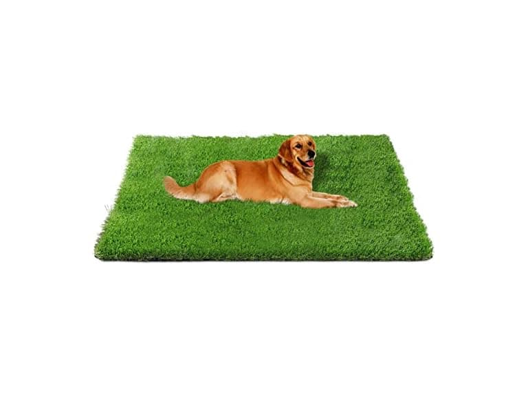 Fhiny Artificial Grass Rug - Image 1