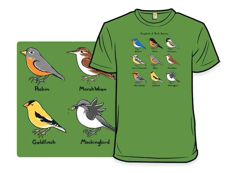 Songbirds of North America - Image 1