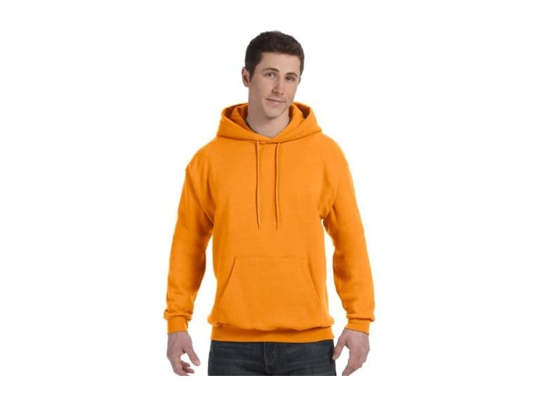 Hanes (L) ComfortBlend EcoSmart Pullover Hoodie - Image 1