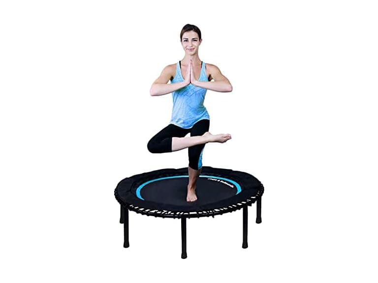 Leaps & Rebounds Bungee Rebounder V2 - Image 1