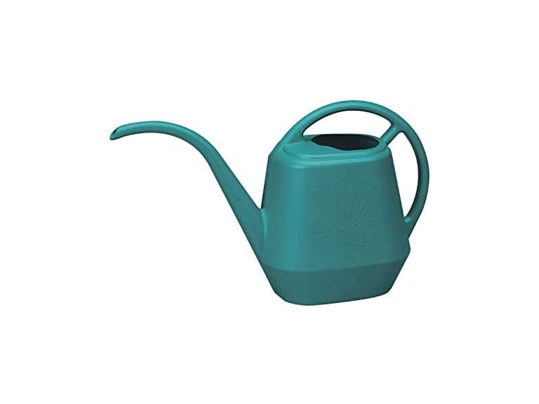 Watering Can Aqua Rite 1/2 Gal. (56 oz) Teal - Image 1