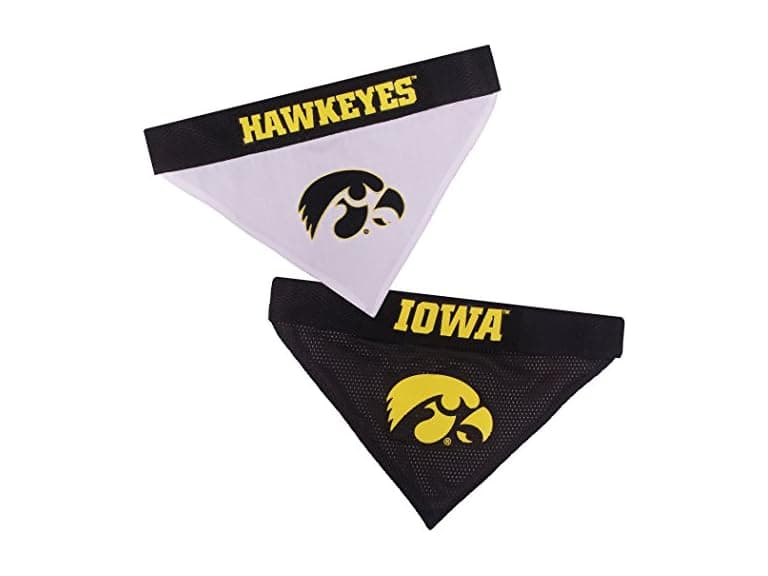 Pets First Collegiate Pet Accessories, Reversible Iowa Hawkeyes - Image 1