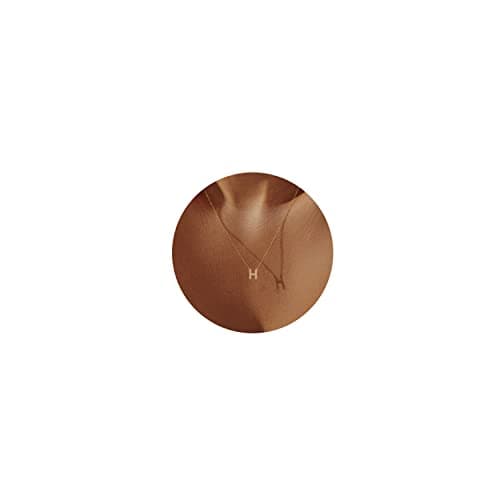 Hayopi Gold Initial Necklace for Women,14K Real Gold Plated Letter Necklace Dainty Gold Name Necklace Personalized Tiny Simple Cute Choker Necklaces Preppy Jewelry Gifts for Women - Image 1