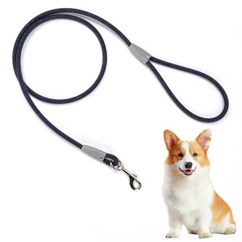 5FT Nylon Waterproof Dog Leash, Durable Strong Odor-Proof Dog Leashes with Zinc Alloy Clip, Walking, Beach, Yard, Swimming, Training Leash for Small, Medium & Large Dogs Blue