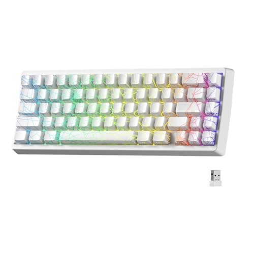 HITIME x XVX M67 Wireless 60% Percent Keyboard, QMK/VIA Gaming Keyboard, Tri-Mode Thocky Creamy Mechanical Key Board, Hot Swappable Gasket Mount RGB IMD Tech for Win/Mac, Spider Web Theme, White