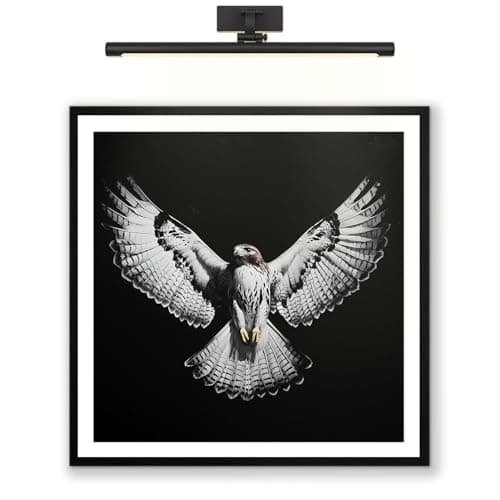 Moonow7 Majestic Hawk Wall Art Prints, Black and White Wildlife Posters, Bird of Prey Decor, Living Room Artwork, Office Wall Accents, Bold Nature Home Decor, Unframed Size 30x30 cm / 12x12″ - Image 1