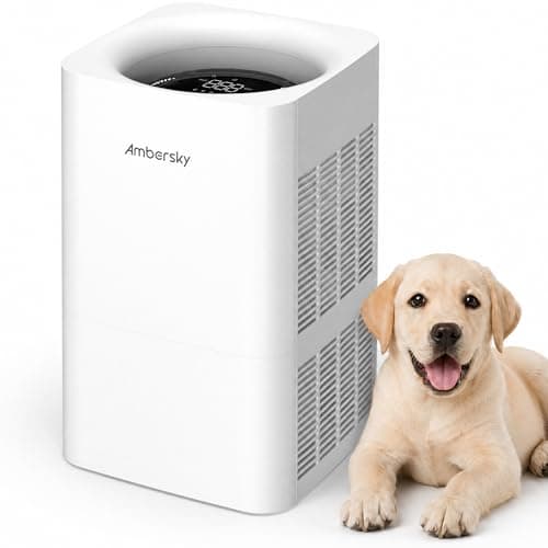 Ambersky Air Purifier for Home, True HEPA Filter for Large Room Up To 2500 Sq Ft, Sleep Mode, 5 Fan Speeds, 360° Air Cleaner for Pet Hair, Smoke, Dust, Odor - Image 1