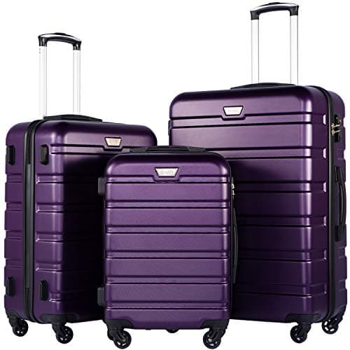 Coolife Luggage 3 Piece Set, Lightweight Durable Hardshell Suitcase set with 360° Spinner Wheels, TSA-approved Lock, Checked Family Travel Luggage sets, 20/24/28 Inch, Purple - Image 1