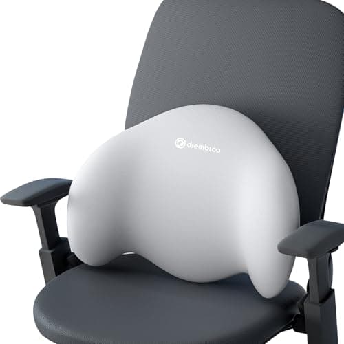 drembloo Lumbar Support Pillow for Office Chair, Extra Dense Memory Form Pillow Lumbar Pillow for Car, Back Support Pillow for Recliner Chair, Chair Back Support for Lower Back Pain Relief
