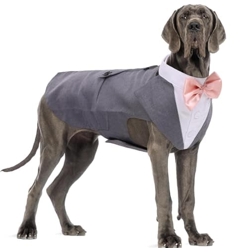 DORA BRIDAL Dog Tuxedo for Large Dogs, Dog Suit and Bowtie, Formal Dogs Wedding Outfit, Pet Tuxedo and Bandana Set Valentines Birthday Christmas Party Costumes for Labrador,Golden Retriever, Grey, 2XL - Image 1