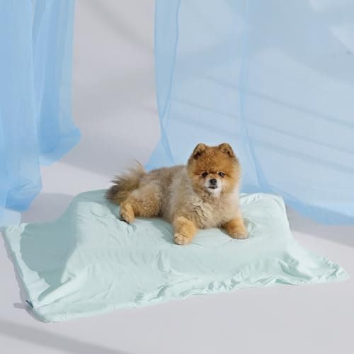 Bedsure Cooling Blanket for Small Dogs with Breathable Air-Core Fill Q-MAX>0.4 - Dog Cooling Mat Soft, Lightweight Pet Cat Throw Cold Blanket Washable for Summer, Pale Jade, 25x35