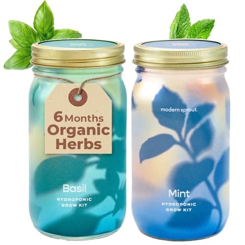 Modern Sprout Mason Garden Jar - Self-Watering Hydroponics Growing System Kit w/Organic Herb Seeds - Sprouting Jar Planter for Indoor Herb Garden -Seed Starter Kit - Home Decor & Gifting - Basil+Mint