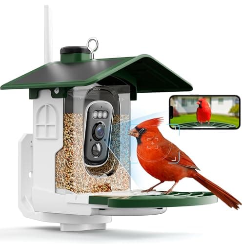 Jarkyfine Smart Bird Feeder with Camera Solar Powered - AI Bird Identification, 2.4Ghz WiFi, 2K HD Video Live Stream Camera, 3MP Photos, 2.9in Focus, Gifts for Mom Dad Birdlovers, Green - Image 1