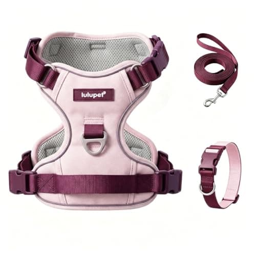 Pink Dog Harness Leash Collar Set, No Pull Reflective Dog Vest Harness with Control Handle, Adjustable Breathable Pet Harness for Small Medium Dogs Walking Training - Image 1