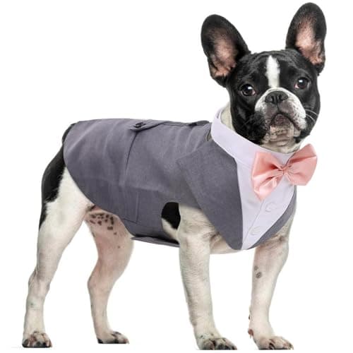 DORA BRIDAL Dog Tuxedo for Small Dogs,Dog Suit and Bowtie, Formal Dogs Wedding Outfit, Pet Tuxedo and Bandana Set Valentines Birthday Christmas Party Costumes for French Bulldog, Pomeranian, Grey, S - Image 1