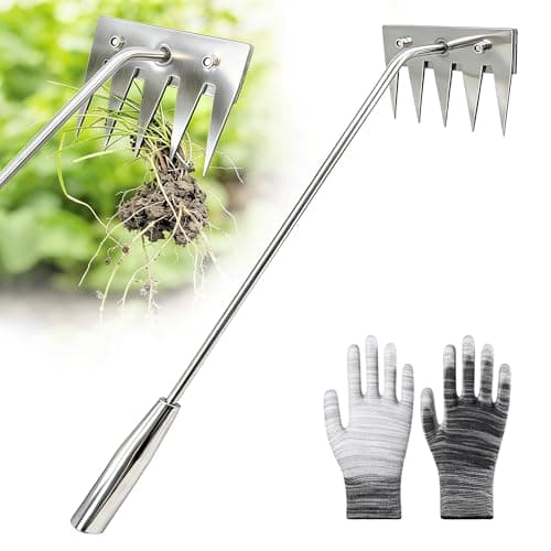 Weed Puller Tool - 2026 Portable Manual Weeding Tools Gardening, 5 Teeth Head Stainless Steel Hand Garden Weeding Rake, Weed Remover Tool for Vegetable Gardening Yard Backyard Farm Planting & Weeding - Image 1