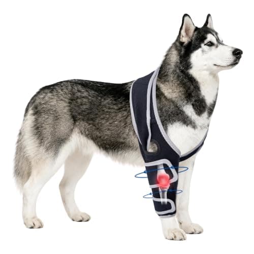 Moysoon Dog Knee Brace for Back Leg,Adjustable Leg Bracket for Support, Universal Dog Knee Use,(XL).