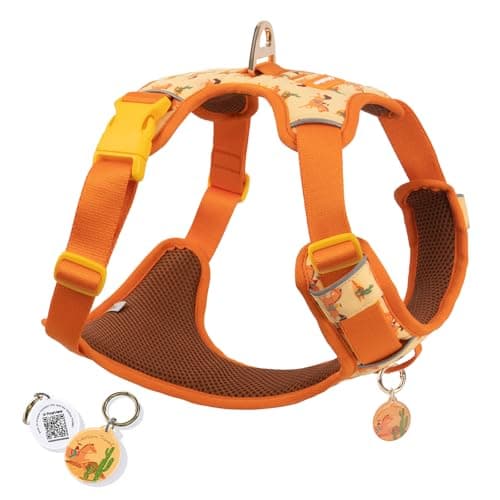 Western Cowboy No Pull Dog Harness for Extra Small Dogs, Soft Air Mesh Vest, Front & Back Clips, Adjustable Escape-Proof Harness with Reflective Trim & QR ID Tag for Walking Running, Orange - Image 1
