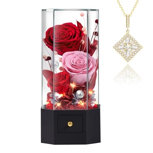 Vryblos Preserved Roses Jewelry Box Gift Set, 3 Classic Real Roses with Gemstone Necklace Elegant Gift for Women Wife Girlfriend Mom Best Friend, Valentine’s Day Anniversary Birthday(Red) - Image 1