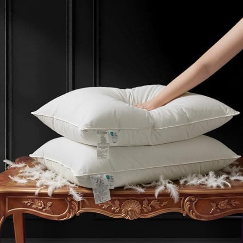 ALPSWAN Goose Down Pillow, Hotel Quality with Feather Fill, 750 Fill Power King Size - 2 Pack with Pillowcase for Master Bedroom, Support for Back, Side, Stomach Sleepers (King) - Image 1