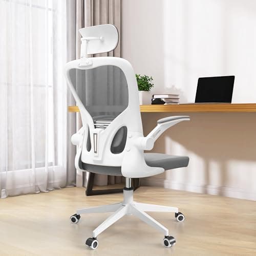 SICHY AGE Office Chair (06Grey, Chair) - Image 1
