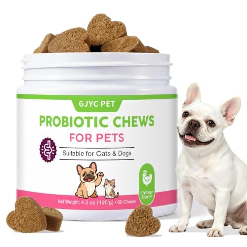 GJYC PET Probiotic Soft Chews for Dogs & Cats - 600M CFU Multi-Strain Probiotics, Prebiotics & Digestive Enzymes - Chicken Flavor Daily Gut Health Supplement - 60 Soft Chews (120g) - Image 1