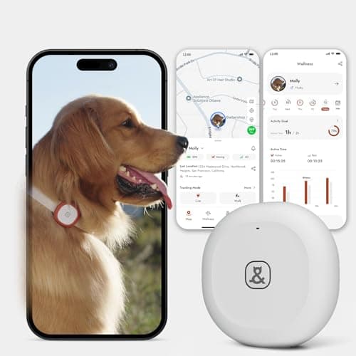 Molly&Cody GPS + Bluetooth Pet Tracker for Cats & Dogs – Real‑Time Tracking, Virtual Fence, IP67 Waterproof, Health Monitoring, iOS/Android – Subscription Required (White) - Image 1